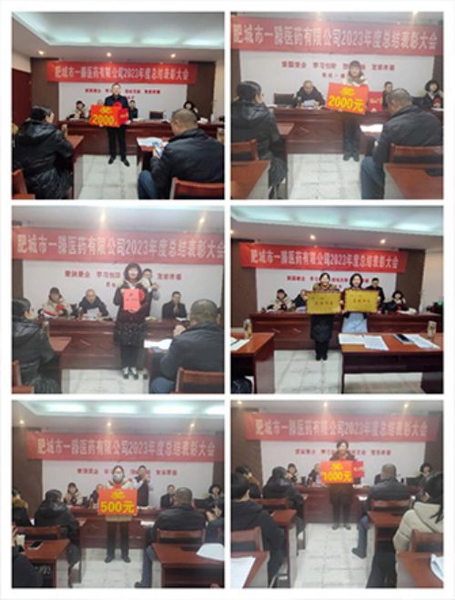 肥城一滕醫(yī)藥公司召開2023年度總結(jié)表彰大會(huì)