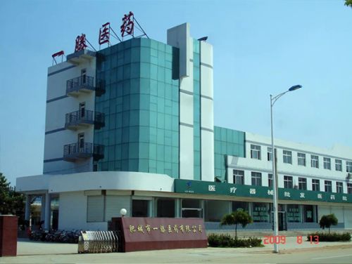 肥城一滕醫(yī)藥公司召開2023年度總結(jié)表彰大會(huì)