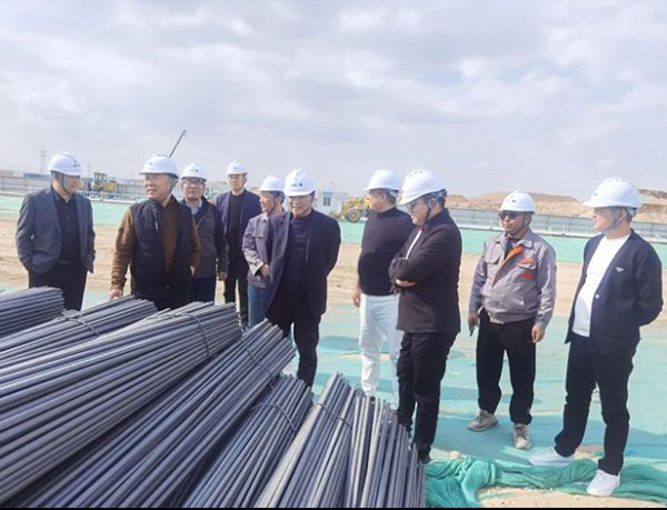 集團董事長滕鴻儒再赴廣匯寧夏寧東煤炭儲運基地項目現(xiàn)場調(diào)度項目推進情況