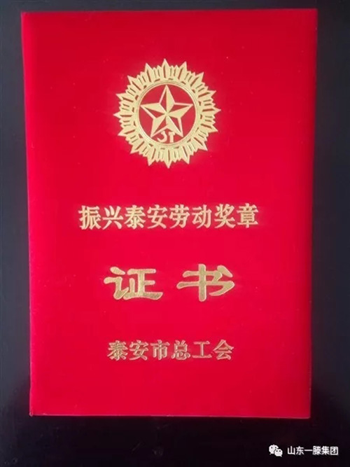 【祝賀】李金梁被授予振興泰安勞動獎?wù)聵s譽